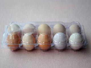 Egg tray